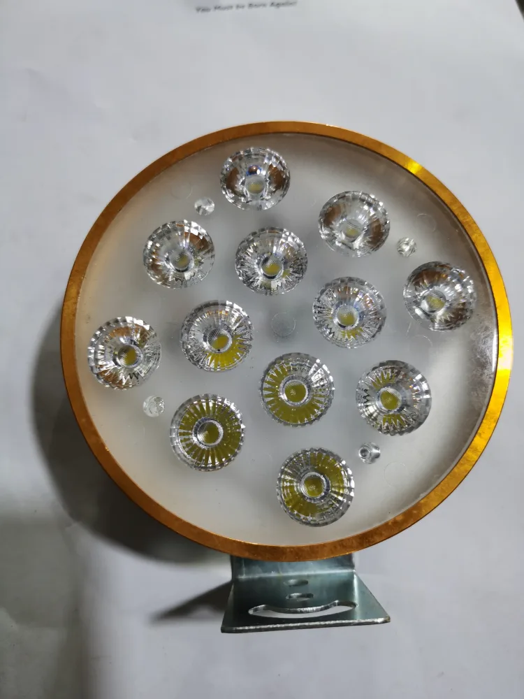 12 DOTS ROUND LIGHT